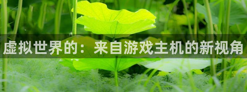 杏鑫平台线路测速：虚拟世界的：来自游戏主机的新视角