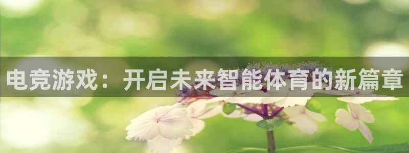 杏鑫咨询：电竞游戏：开启未来智能体育的新篇章