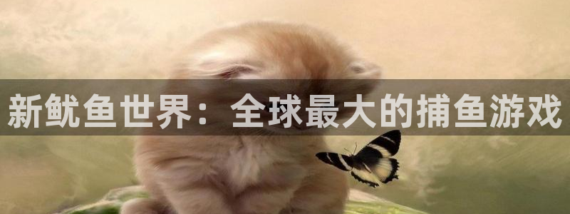 杏鑫注册登录网址是多少：新鱿鱼世界：全球最大的捕鱼游戏