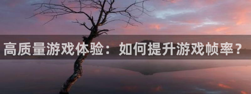 杏鑫注册登录网址是多少：高质量游戏体验：如何提升游戏帧率？