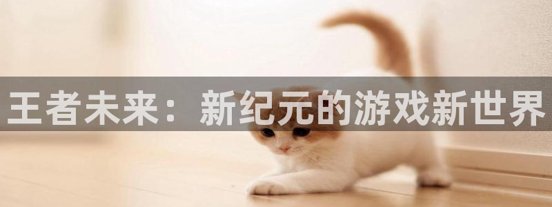 杏鑫平台官网