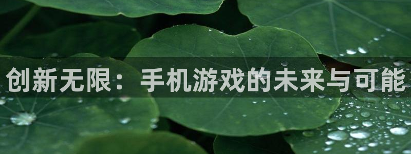 杏鑫代理登录中心