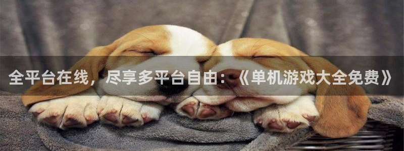 杏鑫平台登陆：全平台在线，尽享多平台自由：《单机游戏大全免费