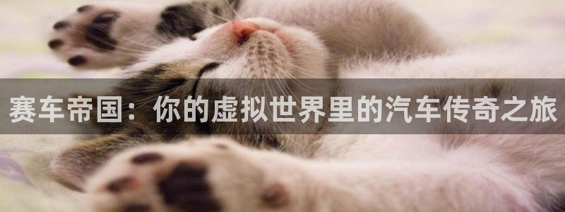 杏鑫平台待遇