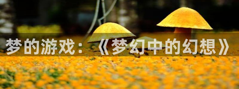 杏鑫代理登录：梦的游戏：《梦幻中的幻想》