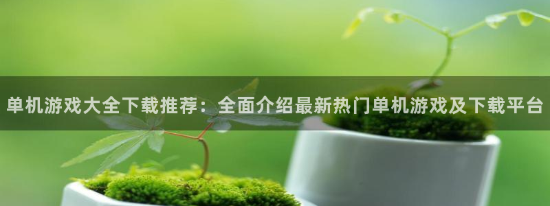杏鑫平台正规吗可信吗：单机游戏大全下载推荐：全面介绍最新热门