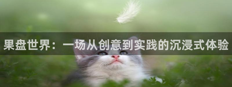 杏鑫平台官方网站：果盘世界：一场从创意到实践的沉浸式体验