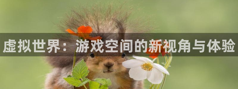 杏鑫平台总代理地址