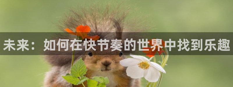 杏鑫平台注册登录