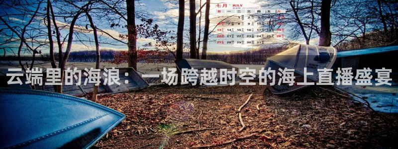 黑白直播体育在线直播免费观看：云端里的海浪：一场跨越时空的海上直播盛宴