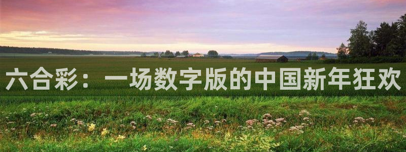nba黑白直播观看：六合彩：一场数字版的中国新年狂欢