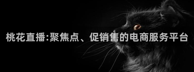 黑白超：桃花直播:聚焦点、促销售的电商服务平台
