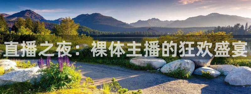 黑白直播体育在线直播：直播之夜：裸体主播的狂欢盛宴