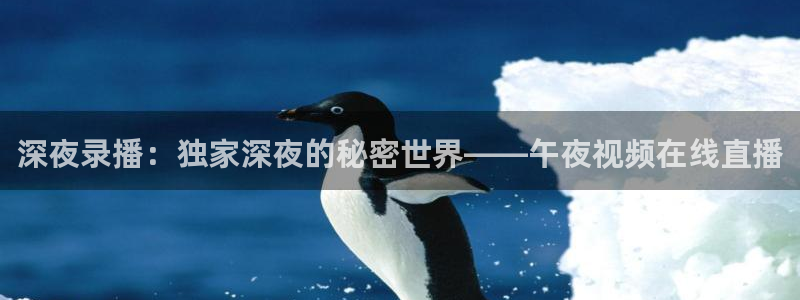 黑白体育直播app下载：深夜录播：独家深夜的秘密世界——午夜视频在线直播