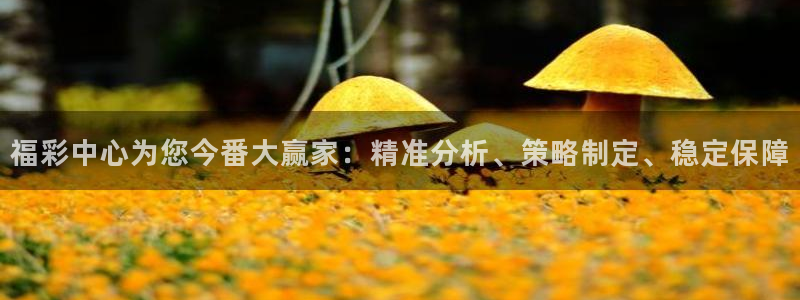 黑白直播nba免费直播：福彩中心为您今番大赢家：精准分析、策略制定、稳定保障