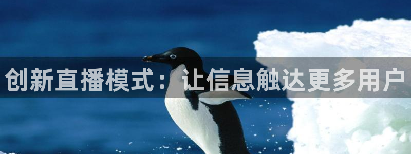 黑白体育nba直播下载