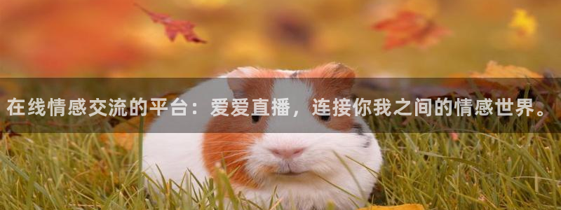 黑白体育app直播：在线情感交流的平台：爱爱直播，连接你我之间的情感世界。