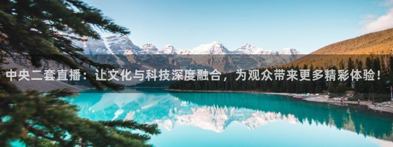 黑白体育在线直播免费观看体育直播：中央二套直播：让文化与科技深度融合，为观众带来更多精彩体验！