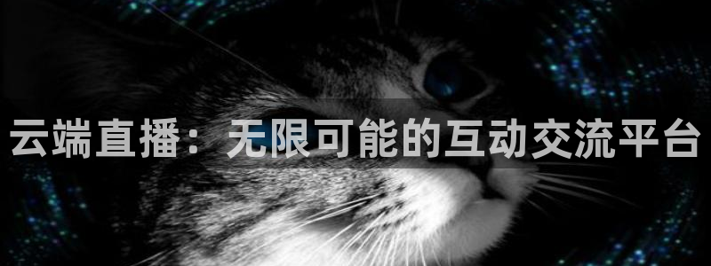 黑白体育在线直播：云端直播：无限可能的互动交流平台
