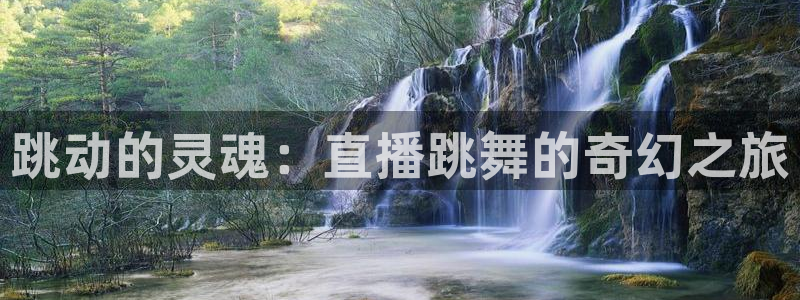 黑白体育看高清直播：跳动的灵魂：直播跳舞的奇幻之旅