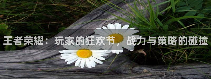 nba黑白体育免费直播：王者荣耀：玩家的狂欢节，战力与策略的碰撞